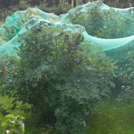 TG70203 großes Vogelnetz 5x50m Schädlingsbekämpfung