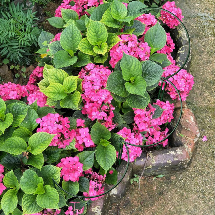 TG77640 Kruhová podpěra, kovová podpěra, podpěra pro květiny, 35cm 2ks.