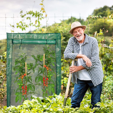 TUN0396 GARTEN GEWÄCHSHAUS TUNNEL FOLIE ZELT FÜR TOMATEN GEMÜSE SÄMLINGE