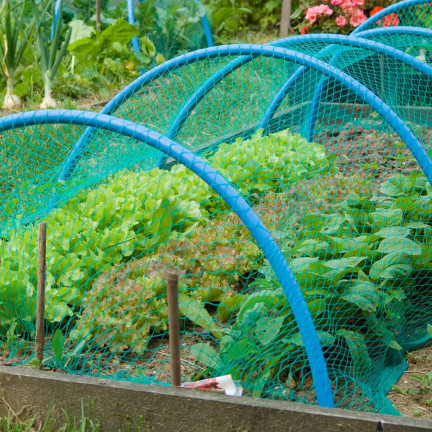 TG70198 Large, Heavy-Duty Protective Net for Starlings and Other Pests, 8x20 m