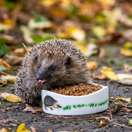 Food for wild hedgehogs, complete feed mix, high in protein, Turdus 500g