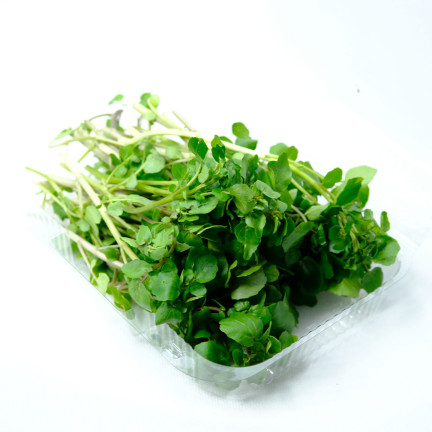 W1187 Rukiew wodna duzo witamin nasiona warzyw plenna odporna superfood