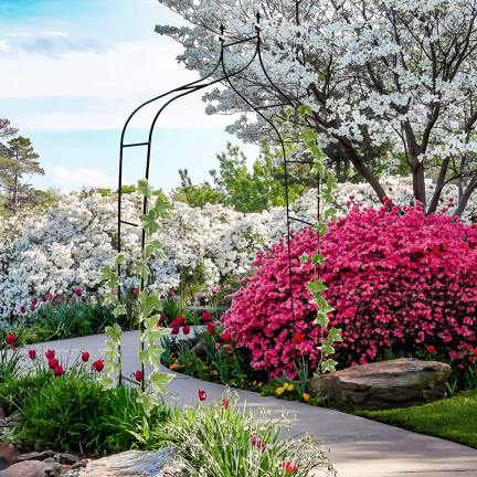 PERG-N6078 Gartenbogen Metallbogen für Rosen Blumen Zweige 240cm