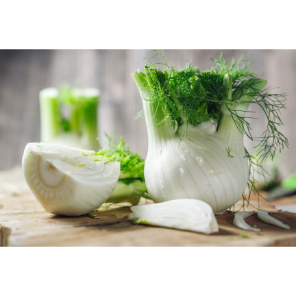 Z3013 FENCHELKRAUTSAMEN FENCHELGEWÜRZ VERDAUUNGSSYSTEM 1G