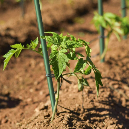 Tomato stakes, plant supports, garden stakes for cucumbers, 40 pcs./set, 11 mm x 120 cm