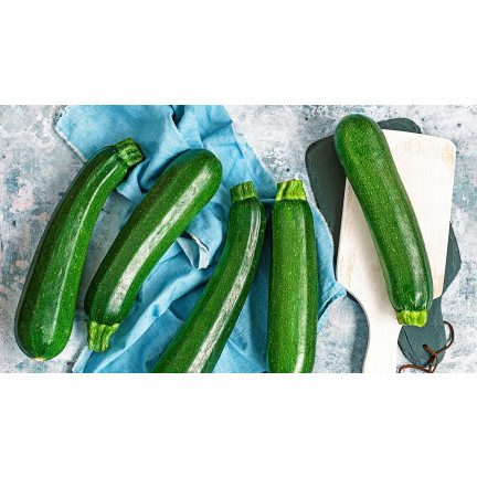 W1031 ZUCCHINISAMEN ZUCCHINI KÜRBIS NEFERTITI GEMÜSE GRÜN LECKER 3G