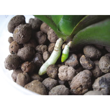 BIO4 BIOVITA BLÄHTON 5L 8-16MM GARTENBAU NATÜRLICHE DRAINAGE FÜR TÖPFE