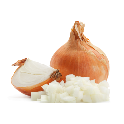 W8674 WINTERZWIEBEL WINTERZWIEBELSAATGUT AUGUSTA 2G
