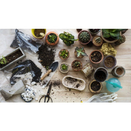 BIO15 BIO-UNIVERSALERDE FÜR BLUMEN PFLANZEN 10L MIT DÜNGER