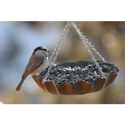 TUR5 ČERNÁ SLUNEČNICOVÁ SEMENA ZIMNÍ SMĚS PRO PTÁKY 1KG