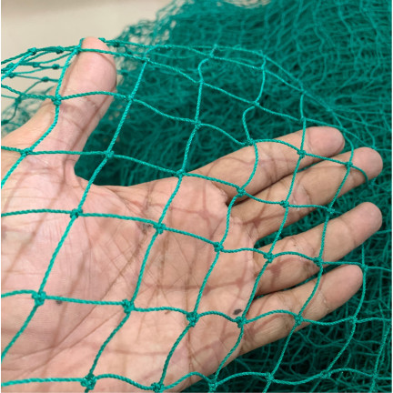 TG70196 Bird Netting, 4x10m