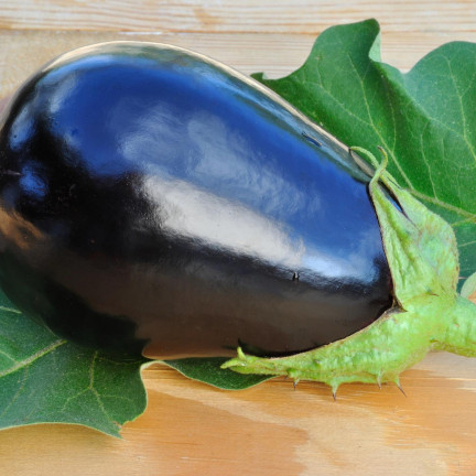 W1003 SEMENA LILKU BLACK BEAUTY PURPLE PEAR OF LOVE 1G