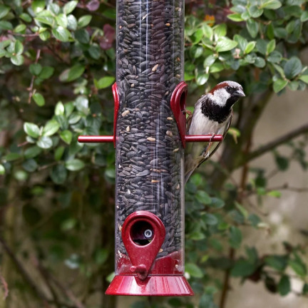 TUR5 ČERNÁ SLUNEČNICOVÁ SEMENA ZIMNÍ SMĚS PRO PTÁKY 1KG