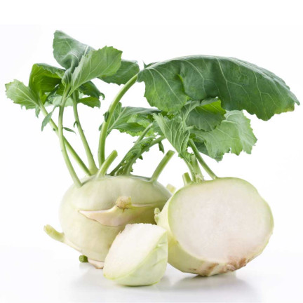 W1073 KALARPAPERSAMEN DELICATESS WITTE WHITE WY Frühjahr/Sommer 2G