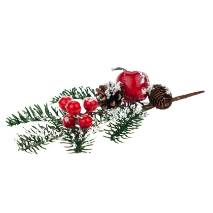 C06336 Rowan STREAK FRUITS IN SNOW