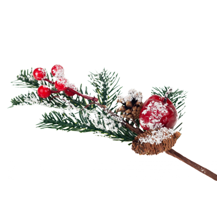 C06336 Rowan STREAK FRUITS IN SNOW