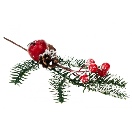 C06336 Rowan STREAK FRUITS IN SNOW