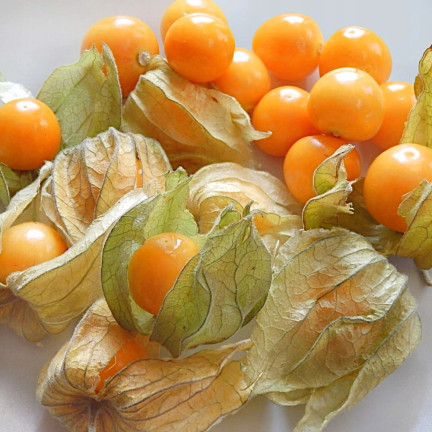 W1185 RODZYNEK BRAZYLIJSKI NASIONA Jagoda inkaska ozdobna jadalna owoce lecznicze