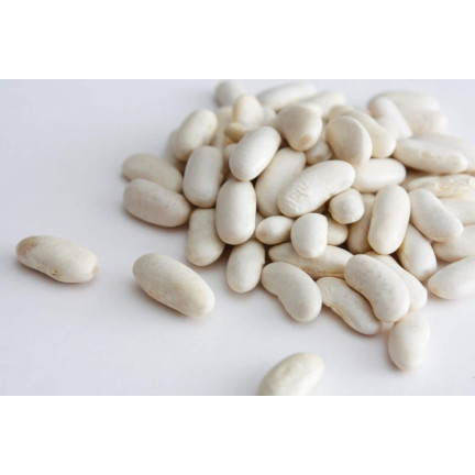 W2016 TYCZNA FAZOLE KRÁSNÁ JAS SEMENA PRO SUCHOU ZELENINU FAZOLE VELKÁ SEMENA 25G