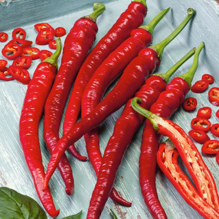 W1137 DE CAYENNE HOT CHILLI PFEFFERSAMEN PIKANT 0,5G