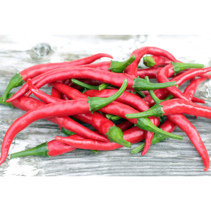 W1137 DE CAYENNE HOT CHILLI PFEFFERSAMEN PIKANT 0,5G