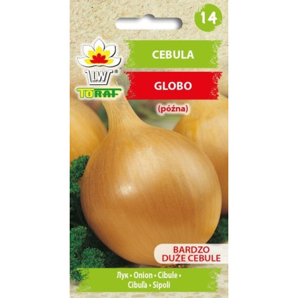W1020 SEMÍNKA CIBULE GLOBO POZDNÍ VELMI VELKÉ SALÁTOVÉ OBŘÍ CIBULE 2G