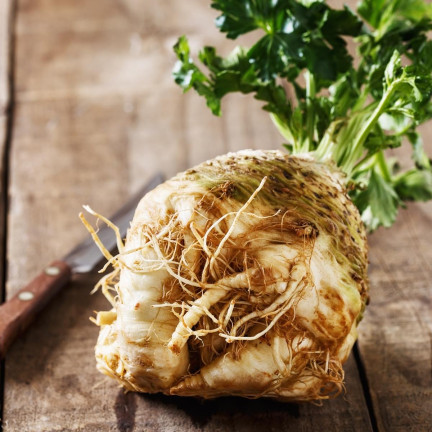 Albin Celery Root, Celery Seeds, Toraf 0.5 g