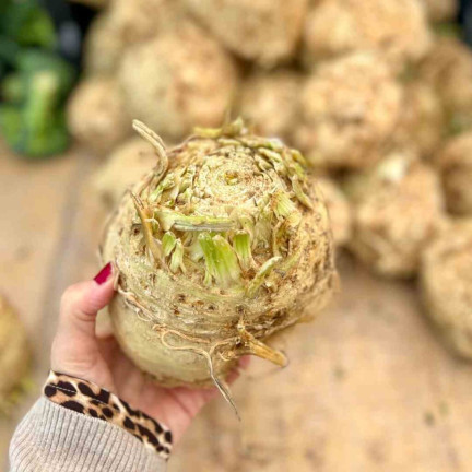 Albin Celery Root, Celery Seeds, Toraf 0.5 g