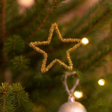 TG69599-2 KREATIVE DRÄHTE GOLD FLORIST DEKORATIVE DRÄHTE FÜR BLUMEN KUGELN 35PCS