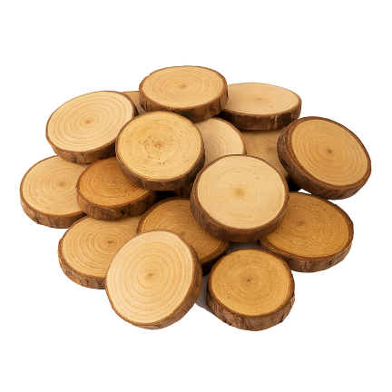 CV34574 HOLZSCHEIBEN NATUR DEKORATION IN EINER TASCHE DIY HANDWERK