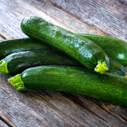 W1031 ZUCCHINISAMEN ZUCCHINI KÜRBIS NEFERTITI GEMÜSE GRÜN LECKER 3G
