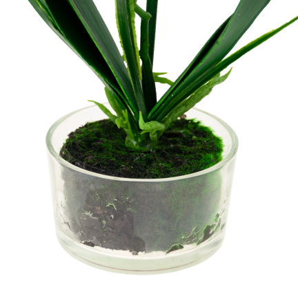 CV05030-1 ORCHIDEJ V KVĚTINÁČI BÍLÁ POGUMOVANÁ DVOUKMENNÁ VELKÁ