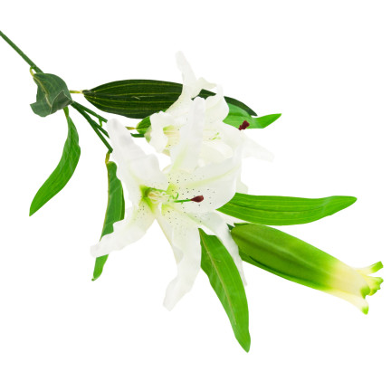 CV05685-1 LILIE WEISS KUNSTBLUMEN LILIENZWEIG