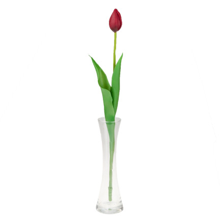 CV07588-10 JEDNODUCHÝ POGUMOVANÝ TULIPÁN ČERVENÝ JAKO ŽIVÝ