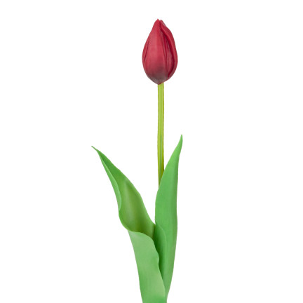 CV07588-10 JEDNODUCHÝ POGUMOVANÝ TULIPÁN ČERVENÝ JAKO ŽIVÝ