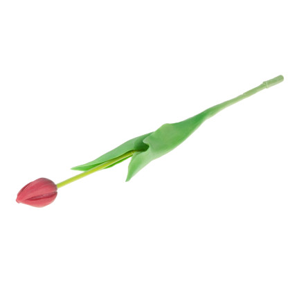 CV07588-10 JEDNODUCHÝ POGUMOVANÝ TULIPÁN ČERVENÝ JAKO ŽIVÝ