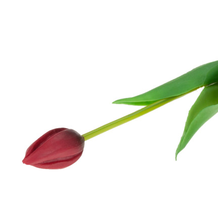 CV07588-10 JEDNODUCHÝ POGUMOVANÝ TULIPÁN ČERVENÝ JAKO ŽIVÝ