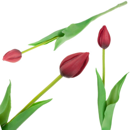 CV07588-10 JEDNODUCHÝ POGUMOVANÝ TULIPÁN ČERVENÝ JAKO ŽIVÝ