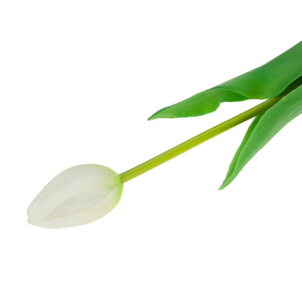 CV07588-1 Single white rubber tulip, lifelike
