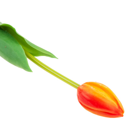 CV07588-8 GUMMIERTE TULPE EINFACH ORANGE WIE EINE LEBENDE BLUME