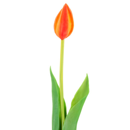 CV07588-8 GUMMIERTE TULPE EINFACH ORANGE WIE EINE LEBENDE BLUME