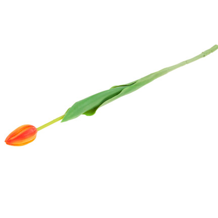 CV07588-8 GUMMIERTE TULPE EINFACH ORANGE WIE EINE LEBENDE BLUME