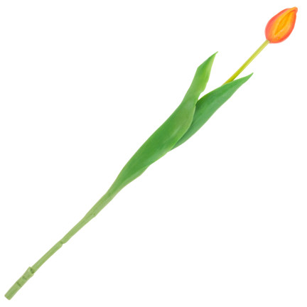 CV07588-8 GUMMIERTE TULPE EINFACH ORANGE WIE EINE LEBENDE BLUME