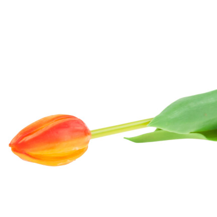 CV07588-8 GUMMIERTE TULPE EINFACH ORANGE WIE EINE LEBENDE BLUME
