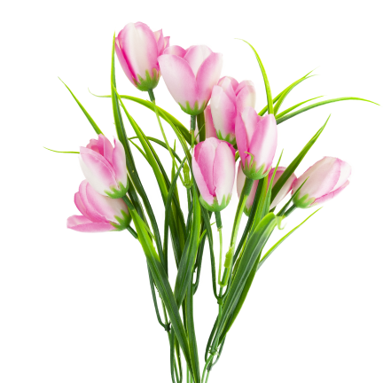 CV07855-2 STRAUSS TULPEN 9 KÖPFE MIT GRAS ROSA