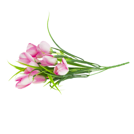 CV07855-2 STRAUSS TULPEN 9 KÖPFE MIT GRAS ROSA