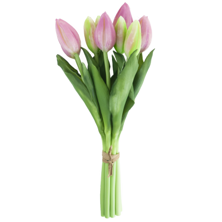 CV08289-3 TULIPAN GUMA 9