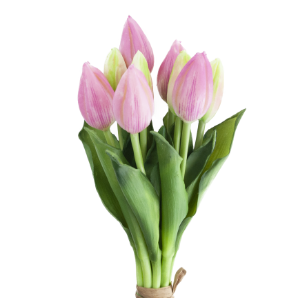 CV08289-3 TULIPAN GUMA 9