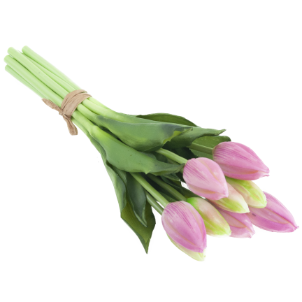 CV08289-3 TULIPAN GUMA 9