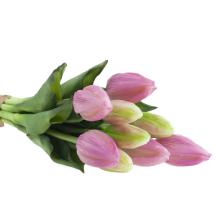 CV08289-3 TULIPAN GUMA 9